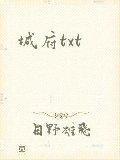 城府txt