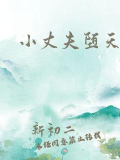 小丈夫堕天