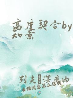 高度契合by洛知意