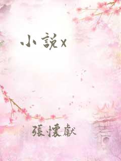小说x