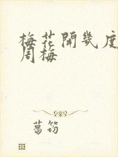 梅花开几度老张周梅