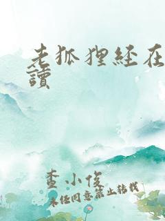 老狐狸经在线阅读