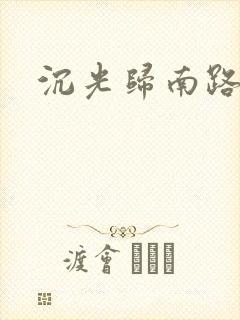 沉光归南路