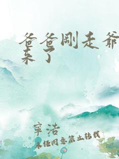 爸爸刚走爷爷就来了