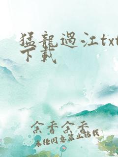 猛龙过江txt下载