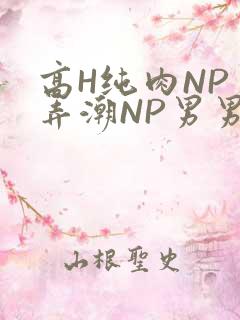高H纯肉NP 弄潮NP男男