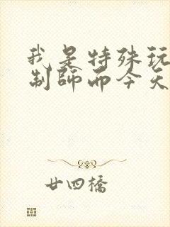 我是特殊玩具定制师而今天的客户