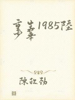 重生1985陆少华
