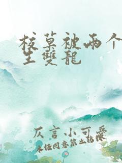 校草被两个体育生双龙