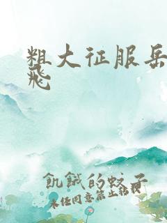 粗大征服岳女双飞