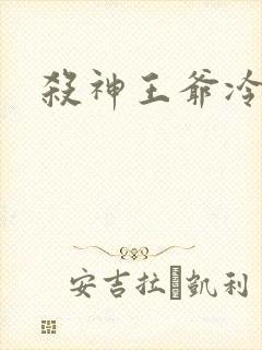 杀神王爷冷情妃