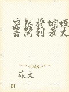 突然将蝴蝶遥控器开到最大