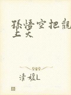 孙悟空把观音日上天