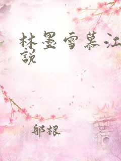 林墨雪慕江行小说