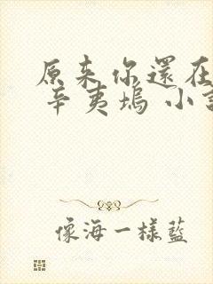 原来你还在这里 辛夷坞 小说