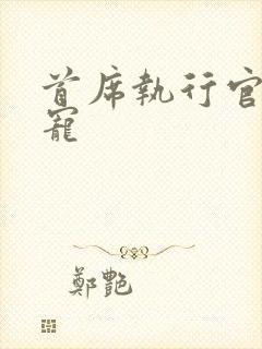 首席执行官的绝宠