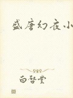 盛唐幻夜小说