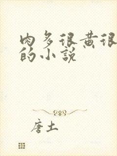 肉多很黄很细致的小说