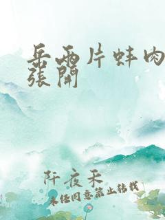 岳两片蚌肉缓缓张开