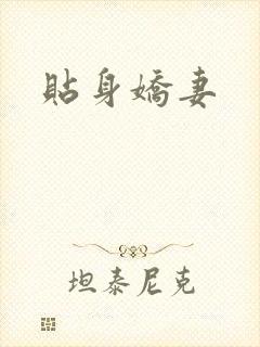 贴身娇妻