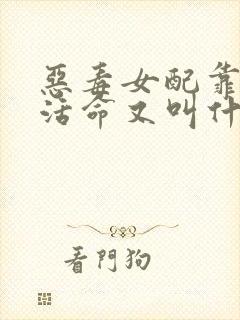 恶毒女配靠JY活命又叫什么