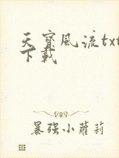 天宝风流txt下载