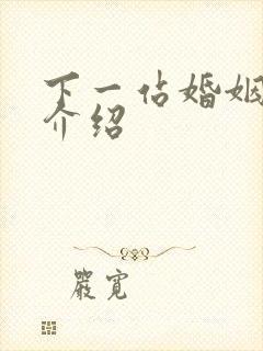 下一站婚姻剧情介绍