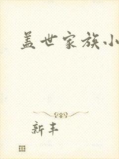 盖世家族小说