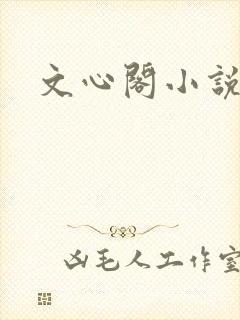文心阁小说