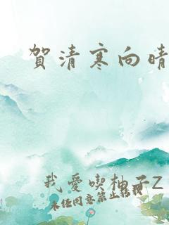 贺清寒向晴小说