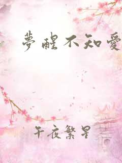 梦醒不知爱欢凉