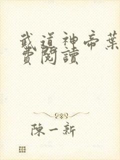 武道神帝叶辰免费阅读