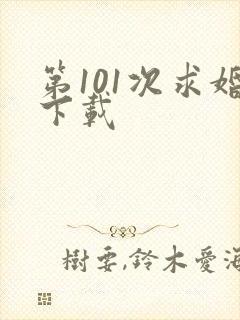 第101次求婚下载