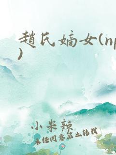 赵氏嫡女(np)