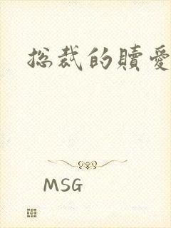 总裁的赎爱宝贝