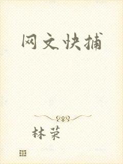 网文快捕