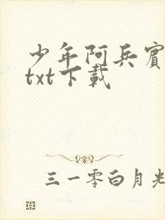 少年阿兵宾小说txt下载