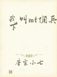 我叫mt佣兵天下