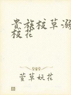 贵族校草溺爱拽校花