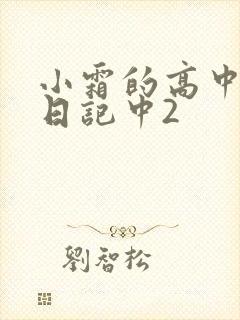 小霜的高中成长日记中2