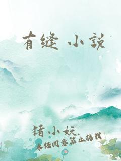 有缝 小说