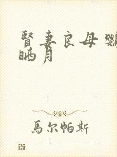 贤妻良母 鹦鹉晒月