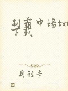 制霸中场txt下载
