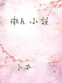 微h 小说