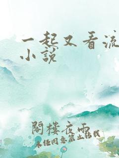 一起又看流星雨小说