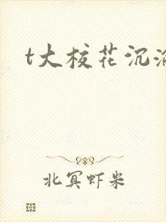 t大校花沉沦