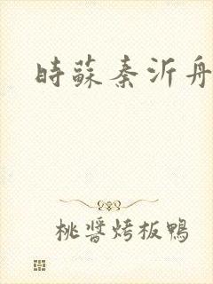 时苏秦沂舟小说