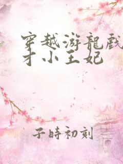 穿越游龙戏凤天才小王妃