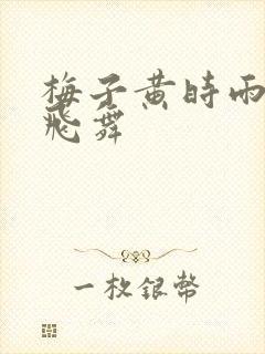 梅子黄时雨流光飞舞