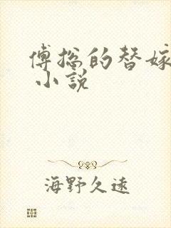 傅总的替嫁娇妻 小说